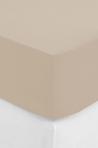 Sábana bajera de percal de algodón 80 hilos/cm² - Beige