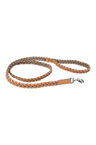 Correa de piel - 1,2 m - Marrón