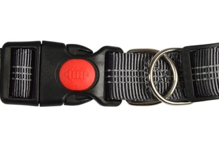 Correa cinturón Running - 
Gris