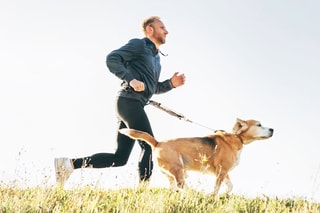 Correa cinturón Running - 
Gris