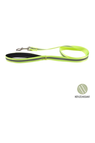 Correa - 1,2 m - Amarillo