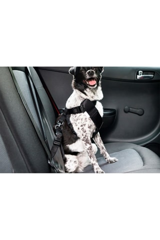 Arnés de seguridad - Negro - 70 x 90 x 3 cm