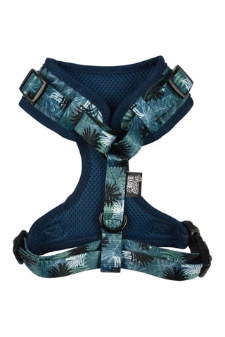 Arnés para perro - Azul