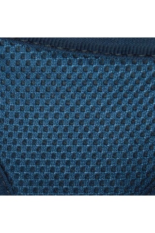 Arnés para perro - Azul