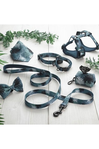 Arnés para perro - Azul