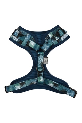 Arnés para perro - Azul