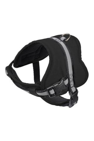 Arnés de seguridad - Negro y gris - De 51 a 67 x 2 cm