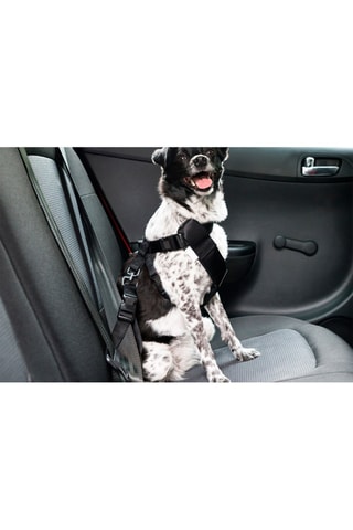 Arnés de seguridad - Negro - 50 x 70 x 2,5 cm