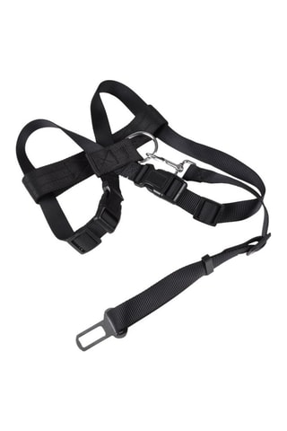 Arnés de seguridad - Negro - 50 x 70 x 2,5 cm