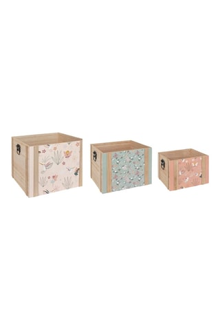 3 cajas de organización Foret - Multicolor