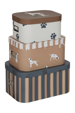 3 cajas de organización Chien - Blanco