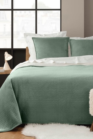 Juego de colcha Mylène - Cedro