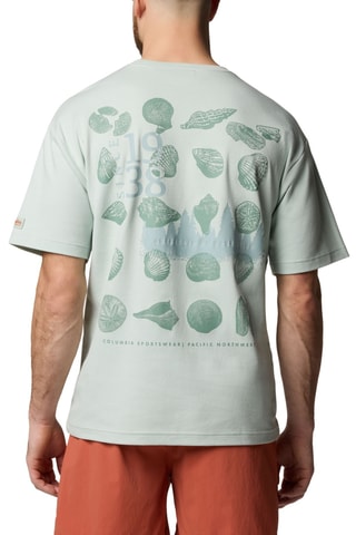 T-shirt CSC™ Heritage Graphic - Groen