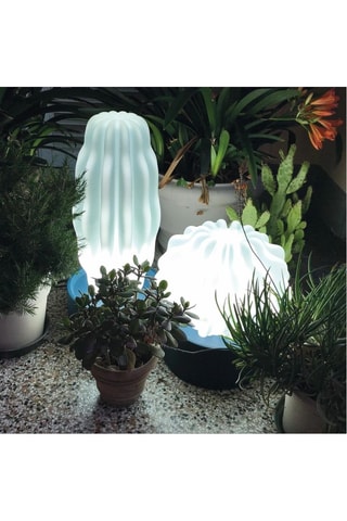 Adorno Cactus Large - Azul y verde - Alessandra Baldereschi