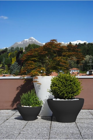 Vaso Ming Anthracite