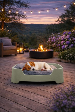 Cama para perro Cucce - 67 x 20 x 47 cm - Gerd Couckhuyt