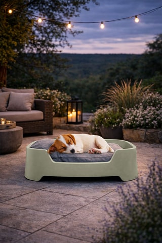Cama para perro Cucce - 67 x 20 x 47 cm - Gerd Couckhuyt