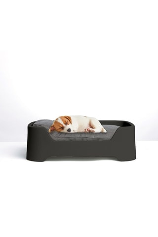 Cama para perro Cucce - 67 x 20 x 47 cm - Gerd Couckhuyt