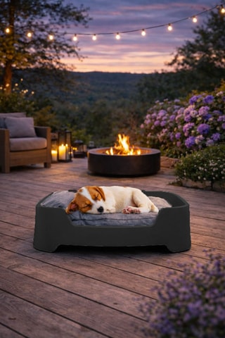 Cama para perro Cucce - 67 x 20 x 47 cm - Gerd Couckhuyt