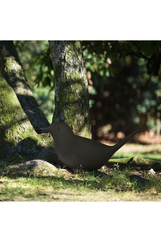 Adorno/asiento Pulcino - Antracita - Eero Aarnio