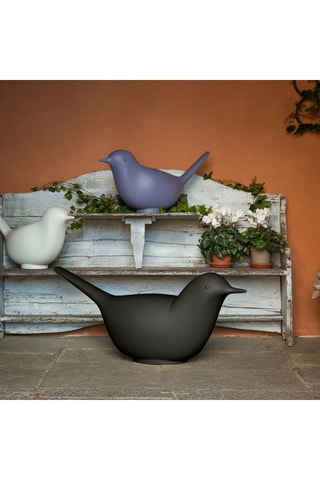 Adorno/asiento Pulcino - Antracita - Eero Aarnio