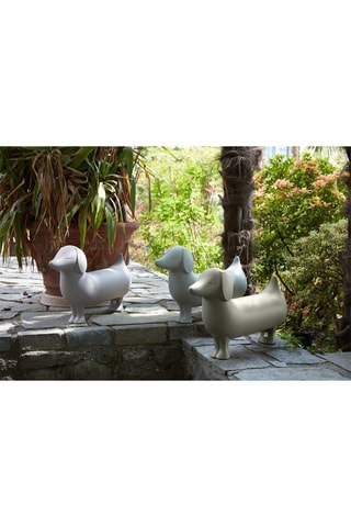 Adorno Otto - Salvia de Cerdeña - Alessandra Baldereschi