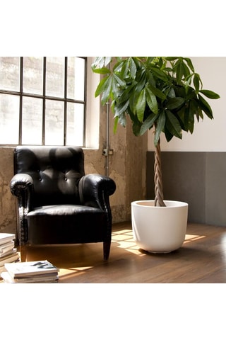 Vase Cup - 48 cm - Blanc - Naoto Fukasawa