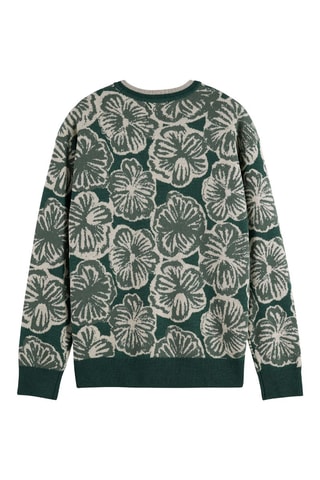 Camisola regular em lã merino - Verde