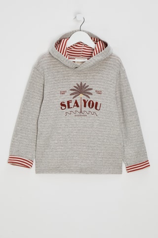 Pull à capuche - Gris clair