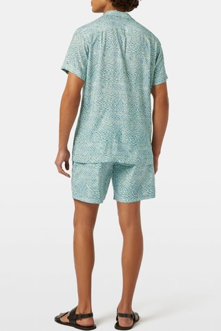 Camisa regular - Verde