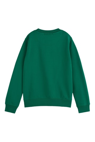 Sweat regular en coton biologique - Vert foncé
