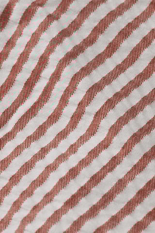 Calções - Bege e castanho-claro