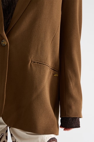 Blazer - Castanho