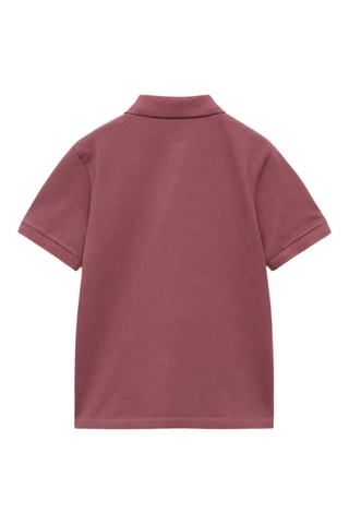 Polo coton manches courtes - Blanc cassé