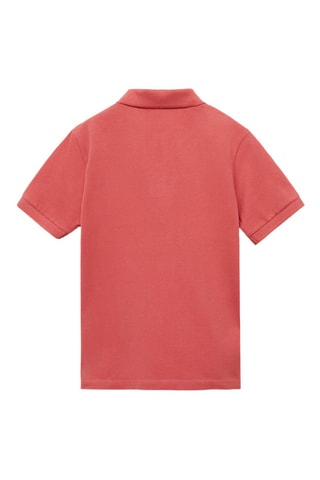 Polo coton manches courtes - Blanc cassé