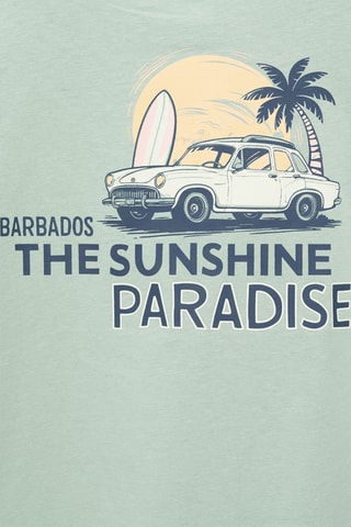 T-shirt coton imprimé - Vert