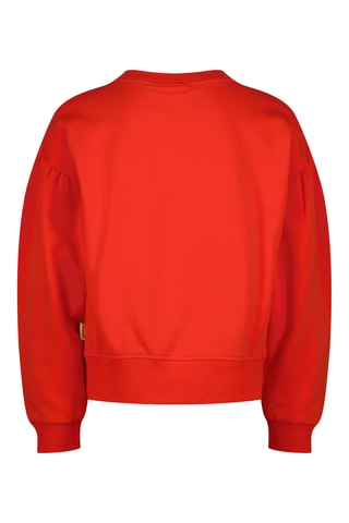 Sweat - Vermelho-tijolo