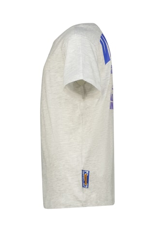 T-shirt - Cinzento mesclado e azul-real