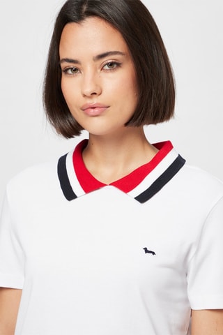 Polo - Blanco - Harmont & Blaine