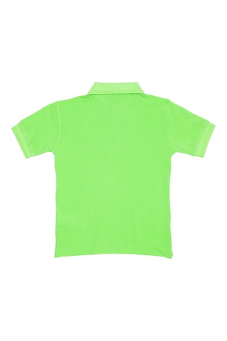 Polo - Vert