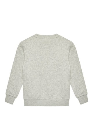 Sudadera - Gris claro