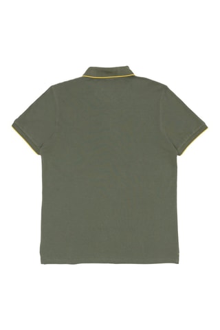 Polo - Caqui