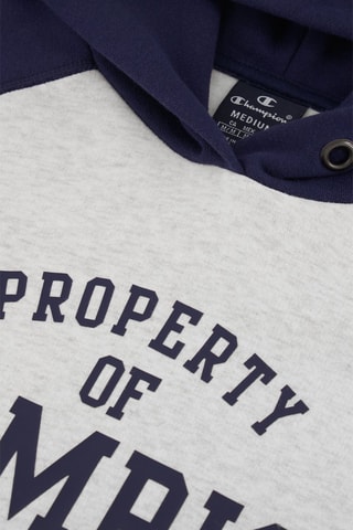 Sudadera con capucha Champion Athletics - Gris jaspeado y azul marino