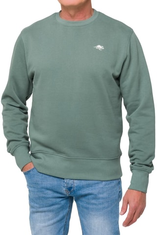 Sweat regular Eagle - Vert et beige