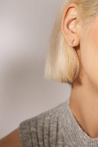 Oorbellen - Zilverkleurig