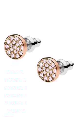 Oorbellen Roségoudkleurig