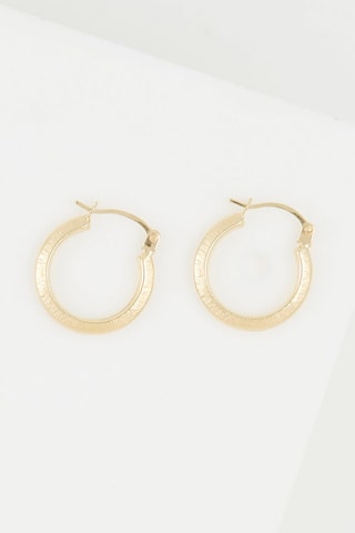 Argolas Nina 
Ouro amarelo