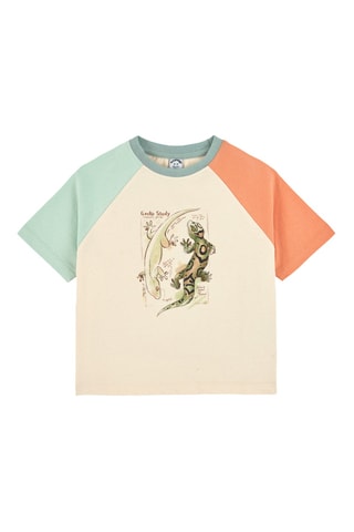 T-shirt - Beige en Groen