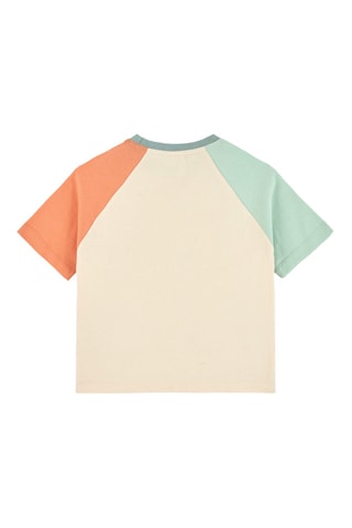 T-shirt - Beige en Groen