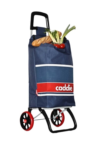 Chariot de course - Bleu